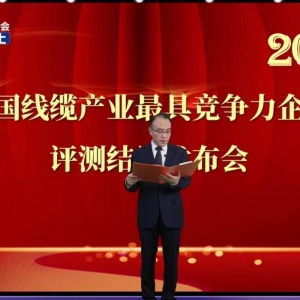 賡續(xù)卓越  勇毅前行——縱覽線(xiàn)纜集團(tuán)再次榮獲2022中國(guó)線(xiàn)纜行業(yè)最具競(jìng)爭(zhēng)力100強(qiáng) ...