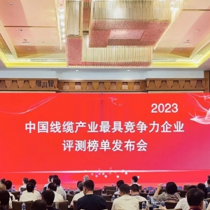 中國線纜產(chǎn)業(yè)最具競爭力企業(yè)100強發(fā)布：縱覽線纜連續(xù)五年上榜！