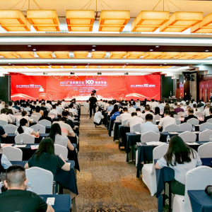 再傳喜訊！縱覽線纜集團成為廣西線纜行業(yè)唯一上榜廣西民營企業(yè)100強、廣西民營企業(yè)制造業(yè)100強企業(yè)